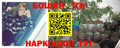 гашик Краснодар