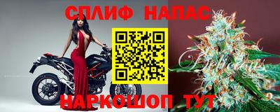 гашик Краснодар