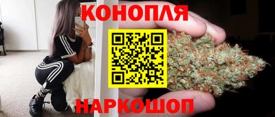 гашик Краснодар