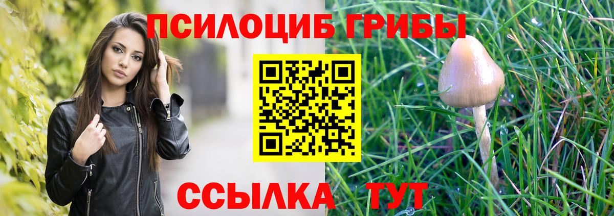 где купить наркотик  Вход с VPN  Ейск  Галлюциногенные грибы Psilocybe 
